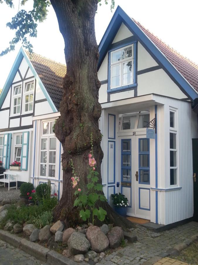 Haus Alexandrine Appartement