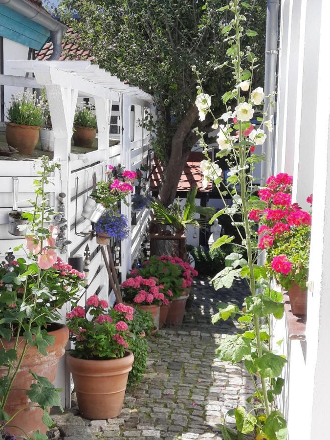 Appartement Haus Alexandrine *