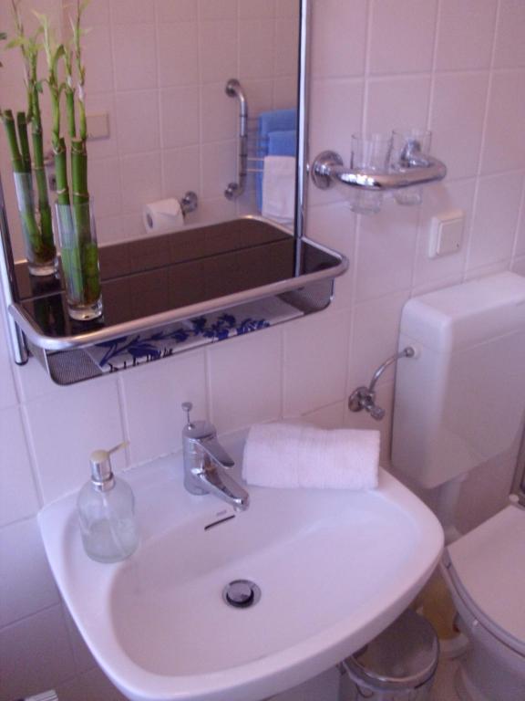 Haus Alexandrine Appartement Rostock